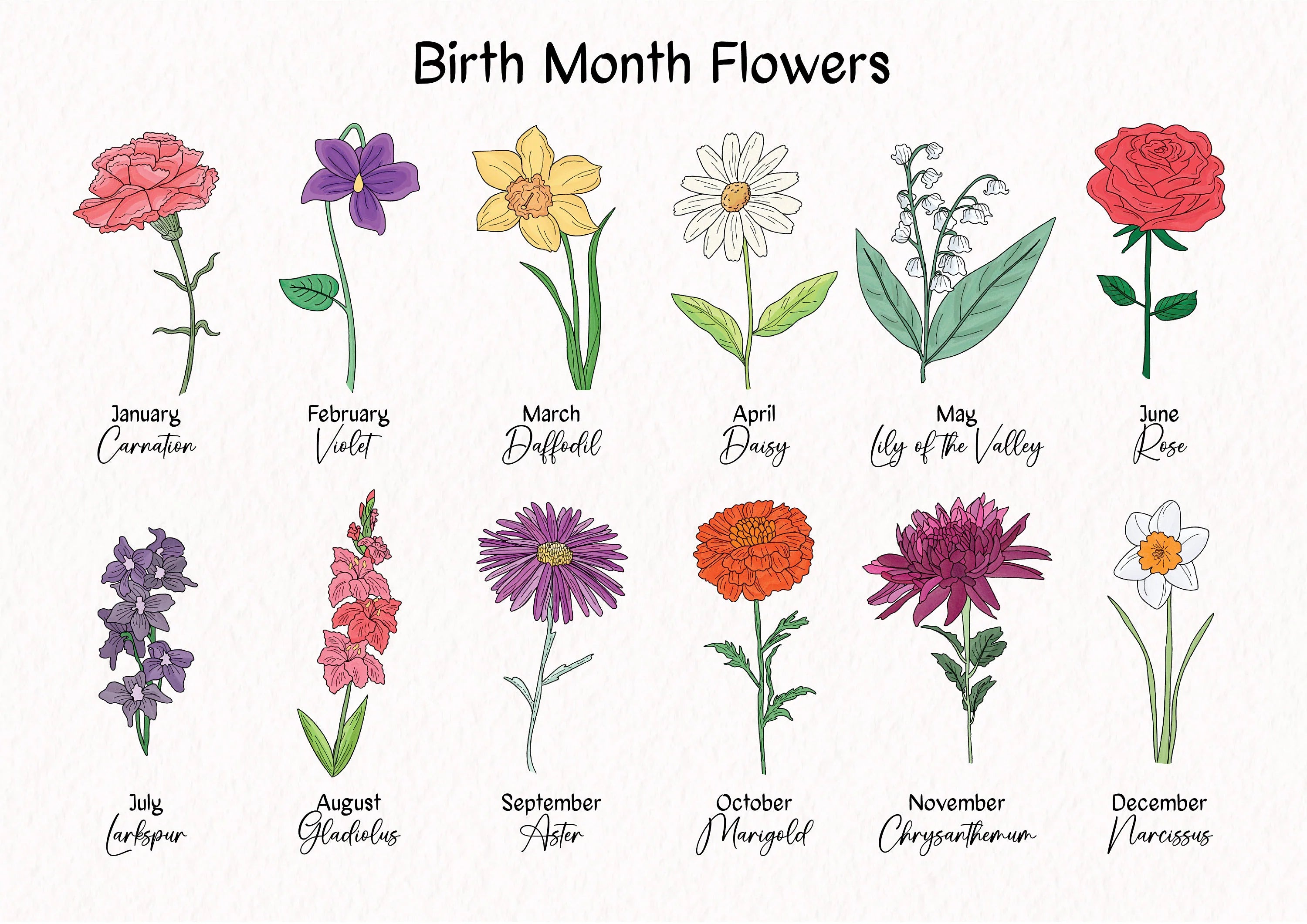 Birth month flowers